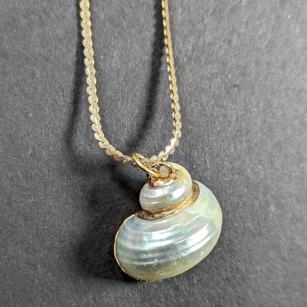 Real conch seashell pendant necklace on 24" gold tone chain